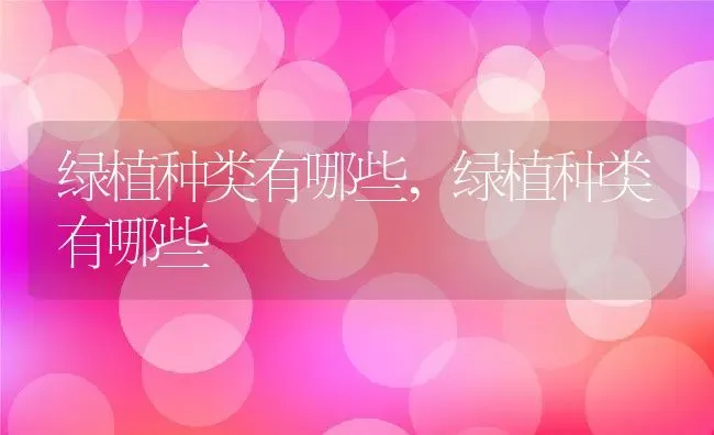 三角梅有毒吗可以放在室内养吗,三角梅可以室内养吗？ | 养殖科普