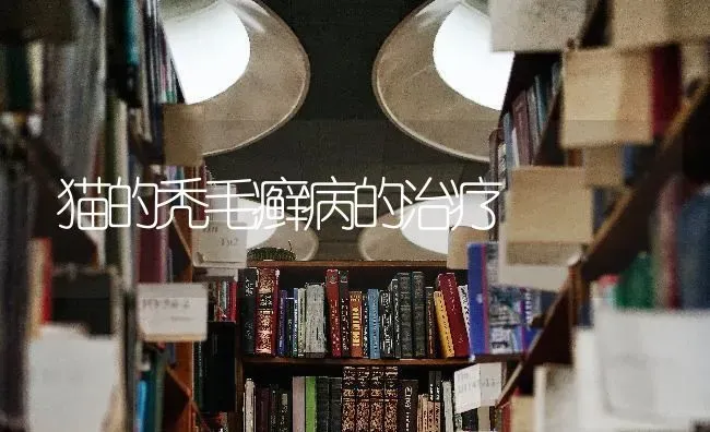猫的秃毛癣病的治疗 | 养殖技术大全