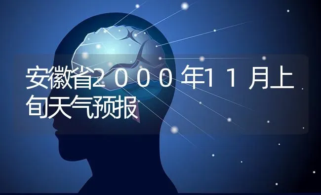 安徽省2000年11月上旬天气预报 | 养殖技术大全