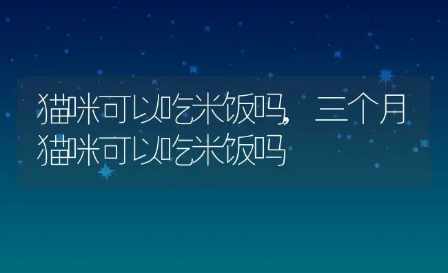 猫咪可以吃米饭吗,三个月猫咪可以吃米饭吗 | 养殖资料