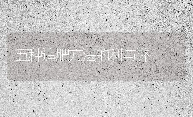 五种追肥方法的利与弊 | 养殖技术大全