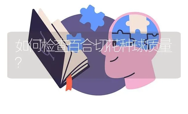 如何检查百合切花种球质量? | 养殖知识