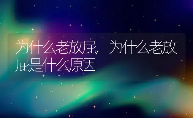 为什么老放屁,为什么老放屁是什么原因 | 养殖科普