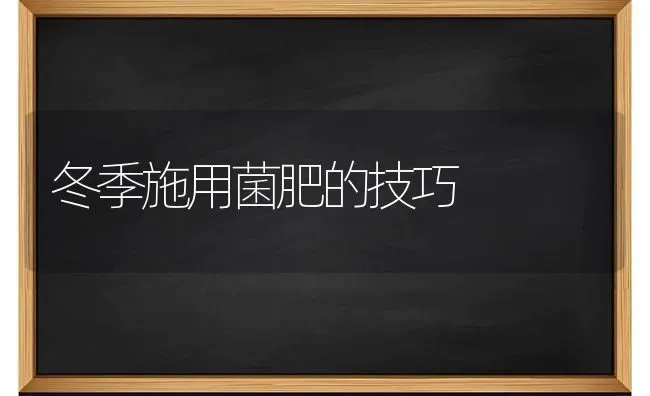 生姜茎基腐病如何防治 | 养殖技术大全