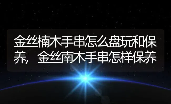 金丝楠木手串怎么盘玩和保养,金丝南木手串怎样保养 | 养殖学堂