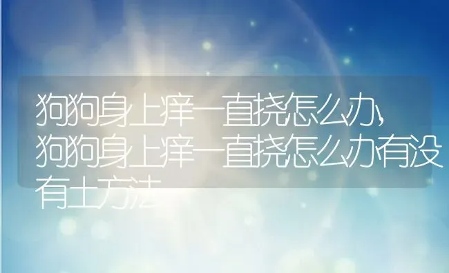 狗狗身上痒一直挠怎么办,狗狗身上痒一直挠怎么办有没有土方法 | 养殖科普