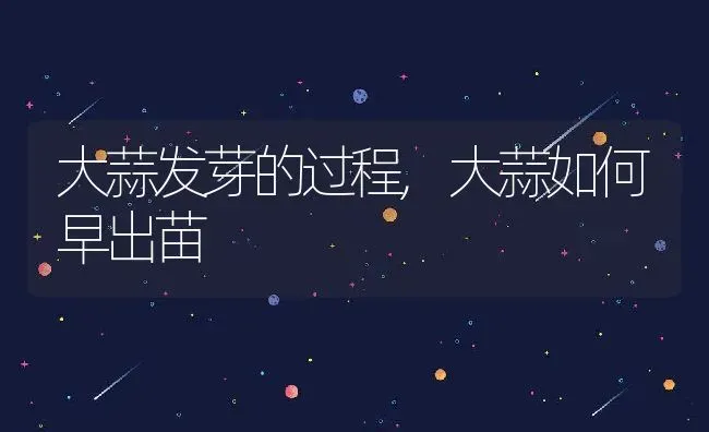 大蒜发芽的过程,大蒜如何早出苗 | 养殖学堂