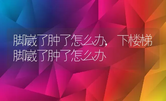 脚崴了肿了怎么办,下楼梯脚崴了肿了怎么办 | 养殖资料