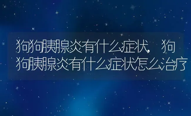 狗狗胰腺炎有什么症状,狗狗胰腺炎有什么症状怎么治疗 | 养殖资料