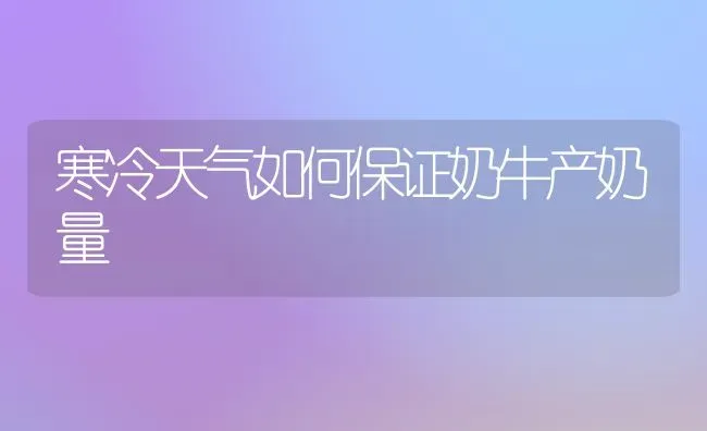 寒冷天气如何保证奶牛产奶量 | 养殖技术大全