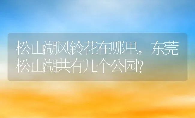 松山湖风铃花在哪里,东莞松山湖共有几个公园？ | 养殖科普