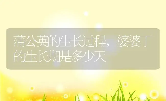 蒲公英的生长过程,婆婆丁的生长期是多少天 | 养殖学堂