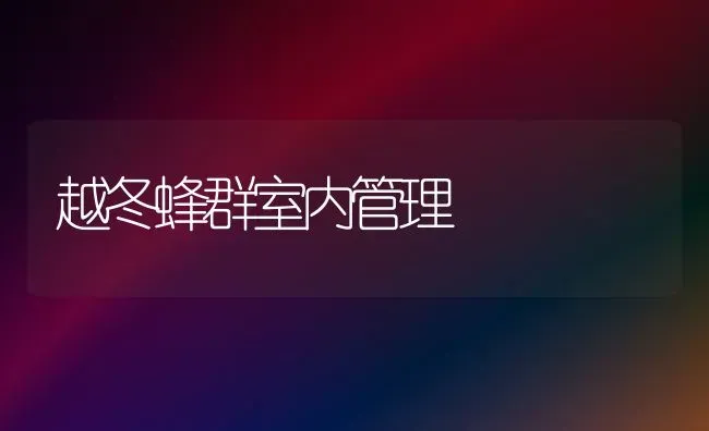 越冬蜂群室内管理 | 养殖知识