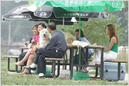 农村创业九个创业好点子，这些都是农村农民致富的好项目 | 生活常识
