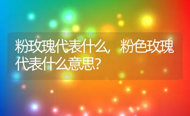 粉玫瑰代表什么,粉色玫瑰代表什么意思？ | 养殖科普