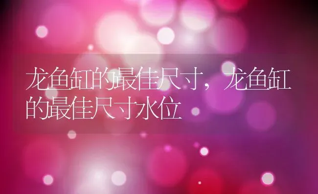 龙鱼缸的最佳尺寸,龙鱼缸的最佳尺寸水位 | 养殖资料