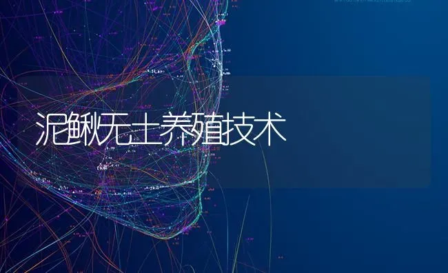 泥鳅无土养殖技术 | 养殖技术大全