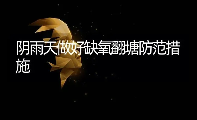 阴雨天做好缺氧翻塘防范措施 | 养殖技术大全