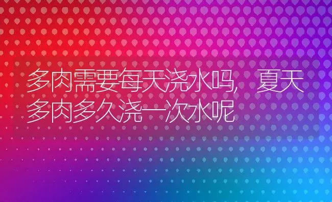 多肉需要每天浇水吗,夏天多肉多久浇一次水呢 | 养殖学堂