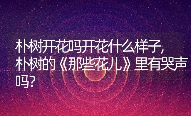 朴树开花吗开花什么样子,朴树的《那些花儿》里有哭声吗？ | 养殖科普