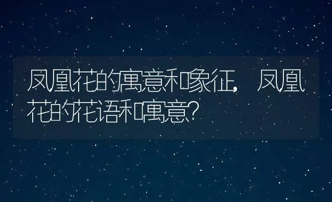 凤凰花的寓意和象征,凤凰花的花语和寓意？ | 养殖科普