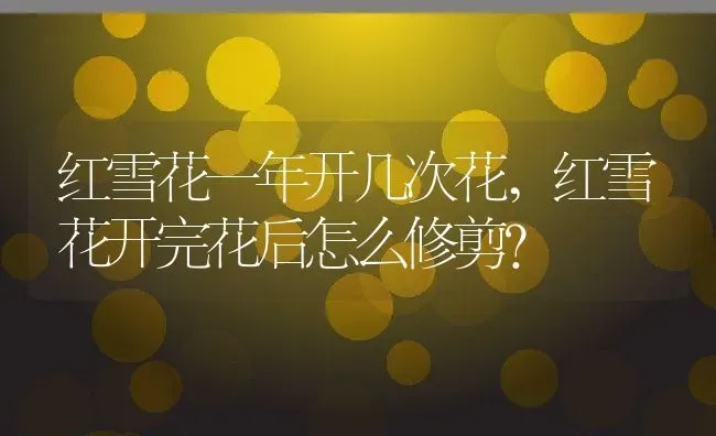 红雪花一年开几次花,红雪花开完花后怎么修剪？ | 养殖科普