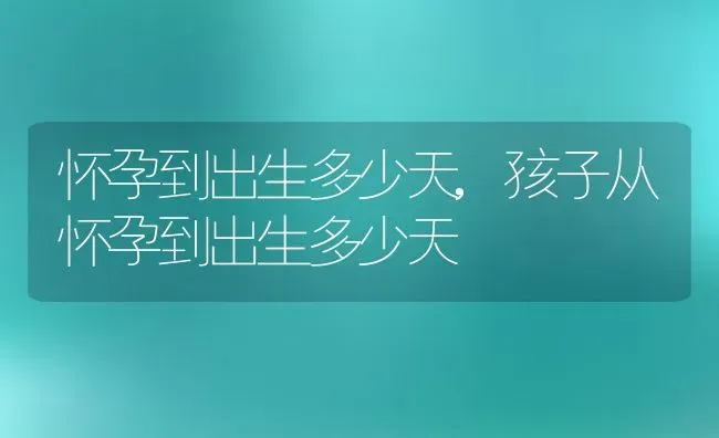 怀孕到出生多少天,孩子从怀孕到出生多少天 | 养殖科普