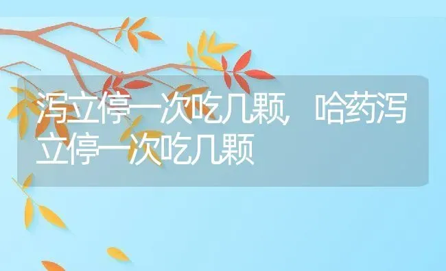 泻立停一次吃几颗,哈药泻立停一次吃几颗 | 养殖科普