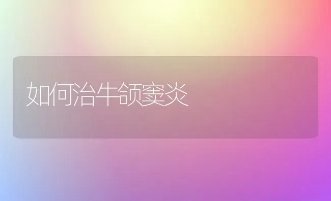 如何治牛颌窦炎 | 养殖知识