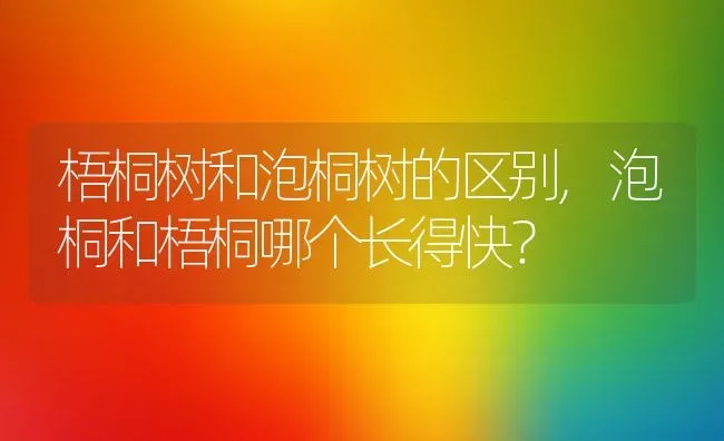 梧桐树和泡桐树的区别,泡桐和梧桐哪个长得快？ | 养殖科普