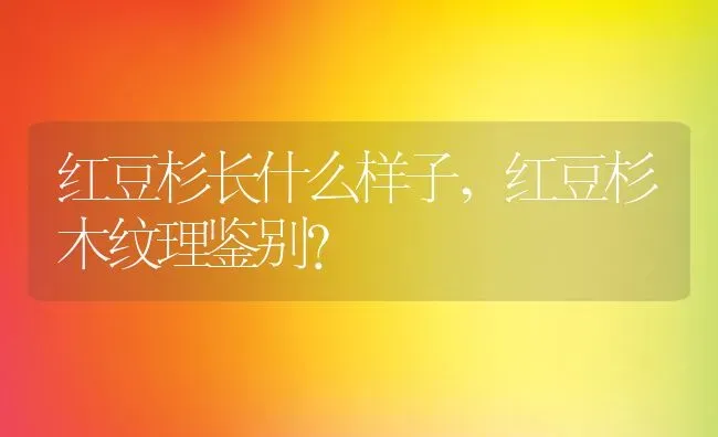 红豆杉长什么样子,红豆杉木纹理鉴别？ | 养殖科普