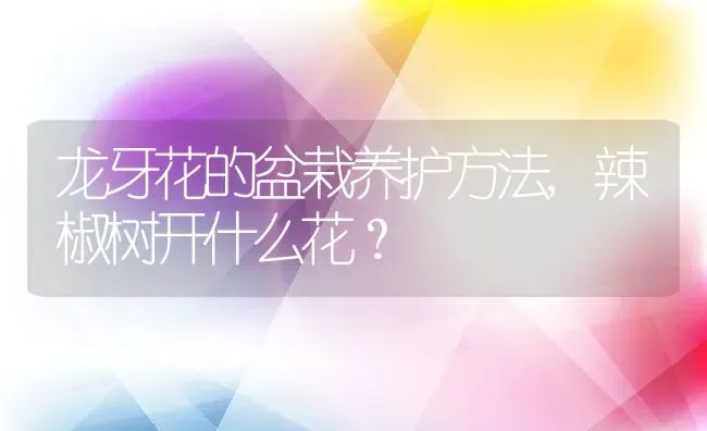 龙牙花的盆栽养护方法,辣椒树开什么花？ | 养殖科普