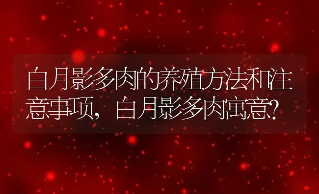 白月影多肉的养殖方法和注意事项,白月影多肉寓意？ | 养殖科普