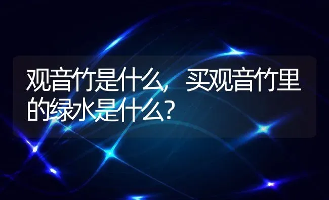 观音竹是什么,买观音竹里的绿水是什么？ | 养殖科普