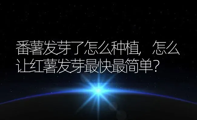 番薯发芽了怎么种植,怎么让红薯发芽最快最简单？ | 养殖科普