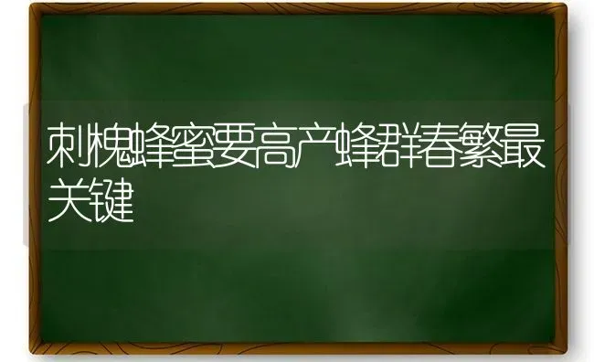 刺槐蜂蜜要高产蜂群春繁最关键 | 养殖技术大全