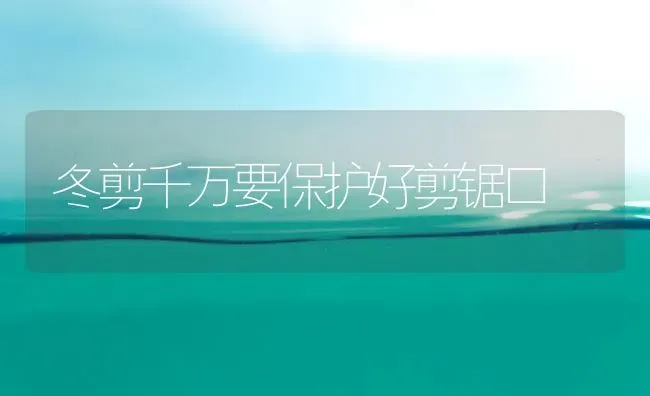 冬剪千万要保护好剪锯口 | 养殖技术大全
