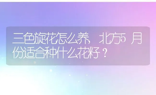 三色旋花怎么养,北方5月份适合种什么花籽？ | 养殖科普