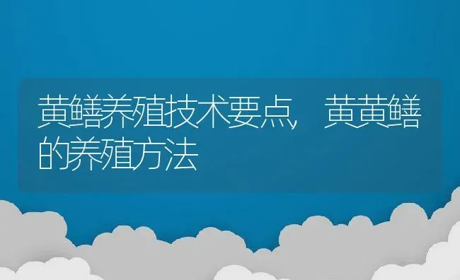 黄鳝养殖技术要点,黄黄鳝的养殖方法 | 养殖学堂