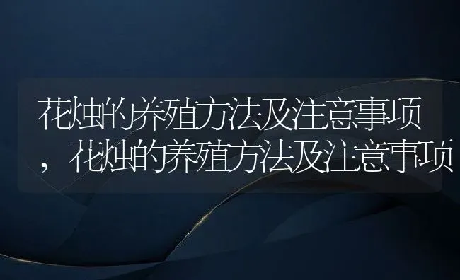 花烛的养殖方法及注意事项,花烛的养殖方法及注意事项 | 养殖科普