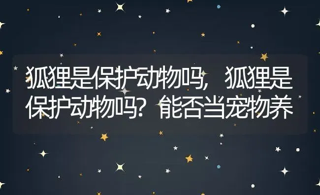 狐狸是保护动物吗,狐狸是保护动物吗?能否当宠物养 | 养殖资料