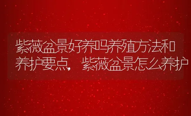 紫薇盆景好养吗养殖方法和养护要点,紫薇盆景怎么养护 | 养殖学堂