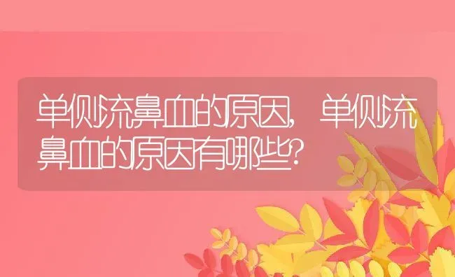 单侧流鼻血的原因,单侧流鼻血的原因有哪些? | 养殖资料