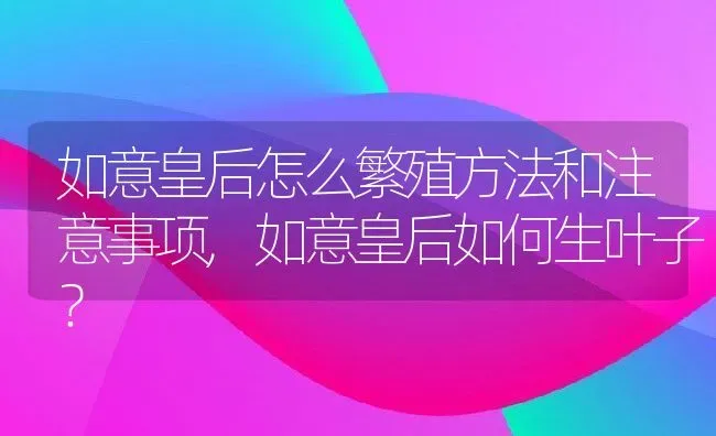 如意皇后怎么繁殖方法和注意事项,如意皇后如何生叶子？ | 养殖科普