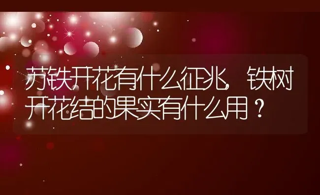 苏铁开花有什么征兆,铁树开花结的果实有什么用？ | 养殖科普