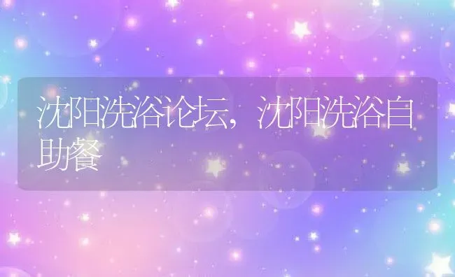 沈阳洗浴论坛,沈阳洗浴自助餐 | 养殖学堂