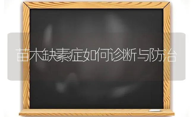 苗木缺素症如何诊断与防治 | 养殖知识