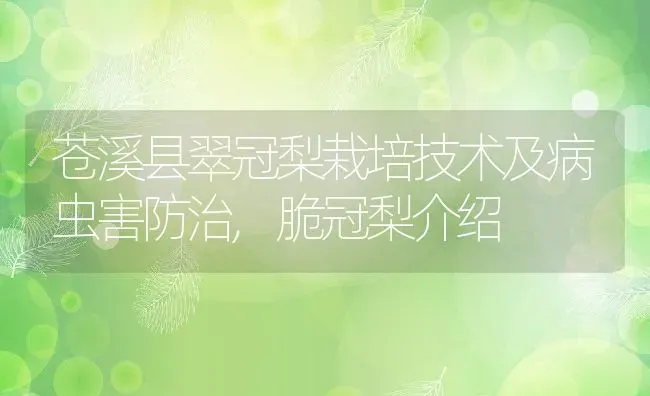 苍溪县翠冠梨栽培技术及病虫害防治,脆冠梨介绍 | 养殖学堂