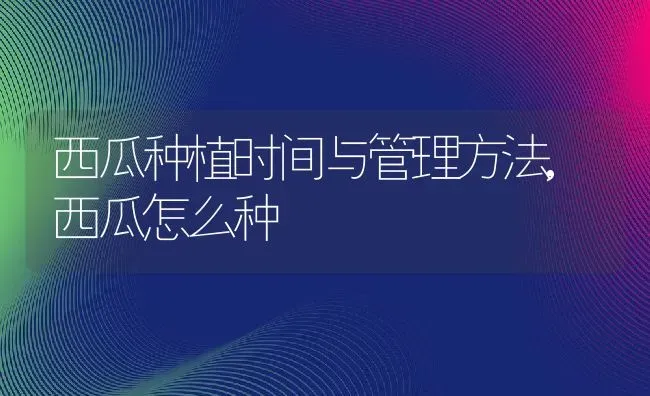 西瓜种植时间与管理方法,西瓜怎么种 | 养殖学堂