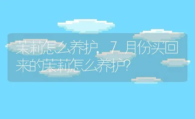 茉莉怎么养护,7月份买回来的茉莉怎么养护？ | 养殖科普